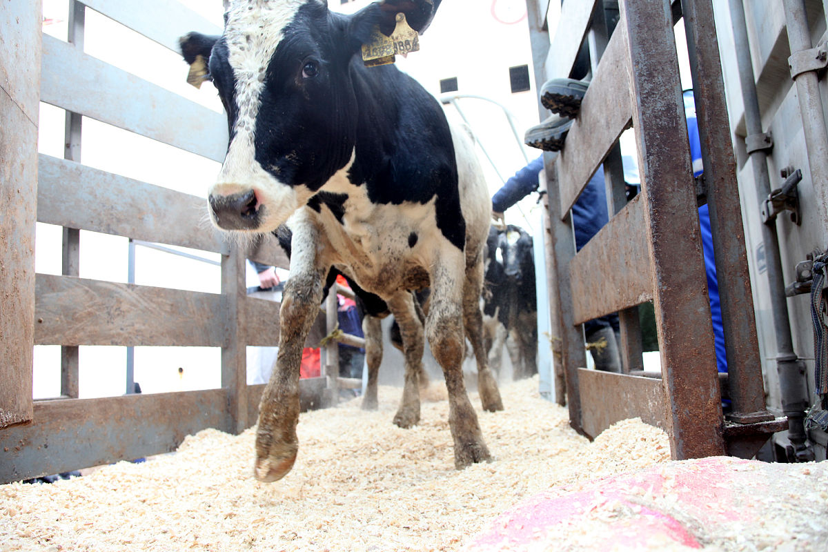 根据姓名 、学校：上海健康医学院、专业：卫生检验与检疫、当前目标是考取公务员为条件做一份600字求职自我介绍