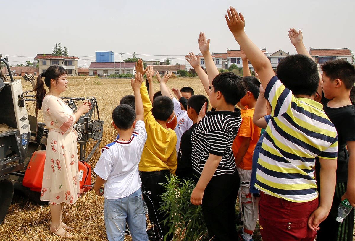 学习课程与教学论的意义是什么？