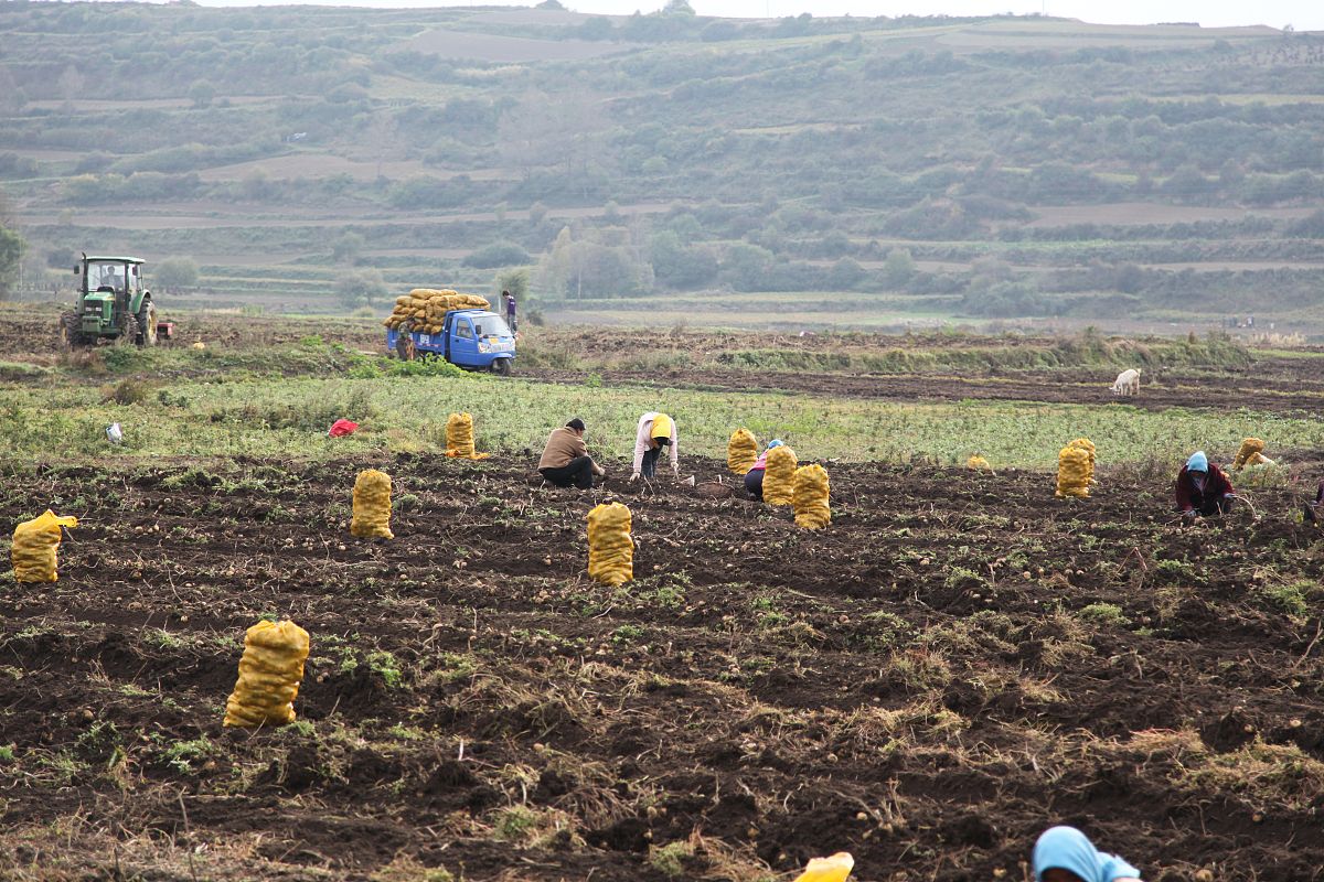 定西县撤销时间：1998年