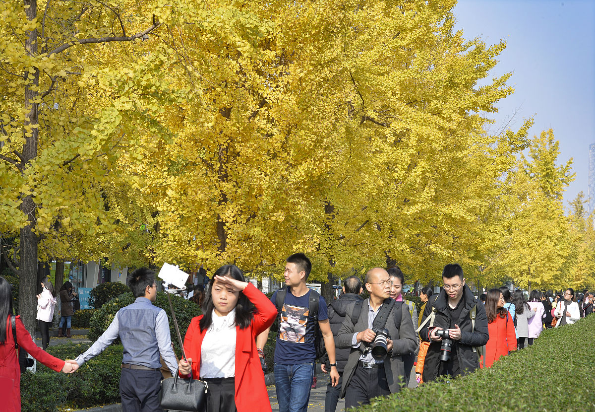 成都会计专业大学推荐：课程设置、就业前景分析