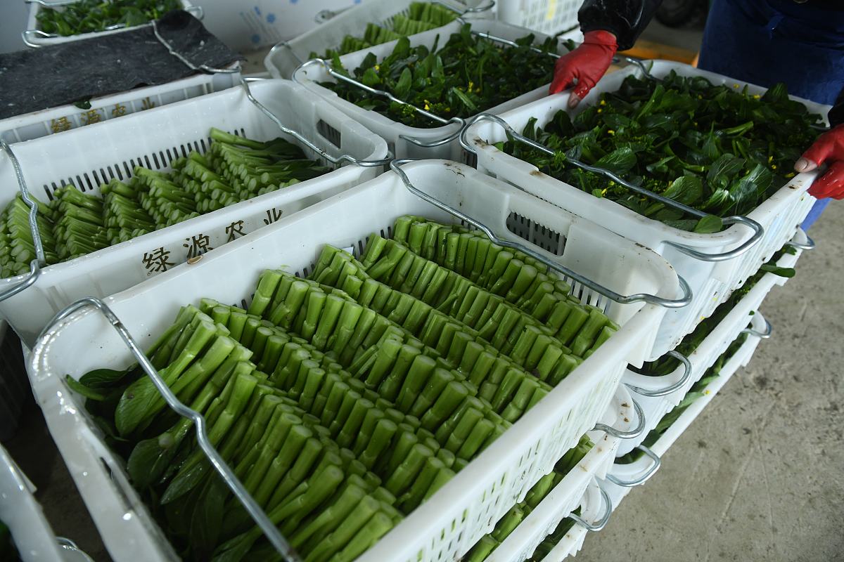 阜阳农业学校2021年招生条件-报名要求及录取标准