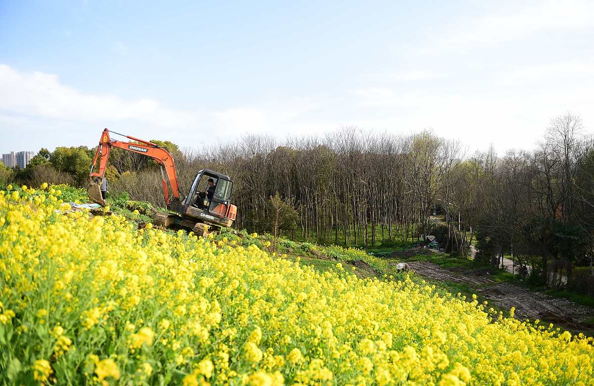 合肥168高中部招生条件 - 录取要求及报名指南