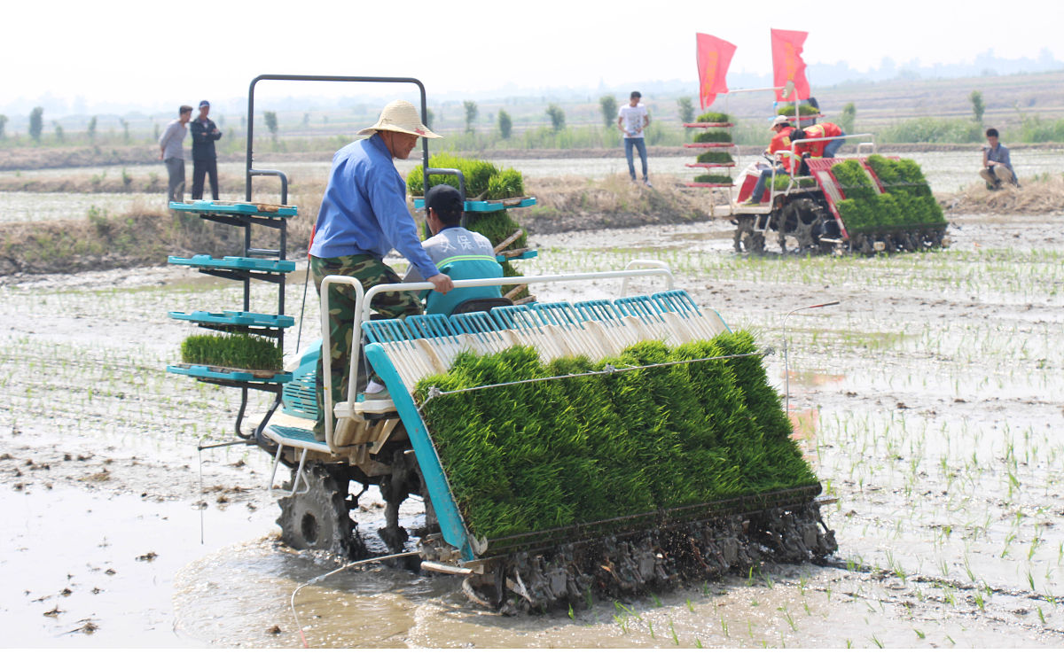 安徽2022年中专学校热门专业详解 - 就业前景广阔