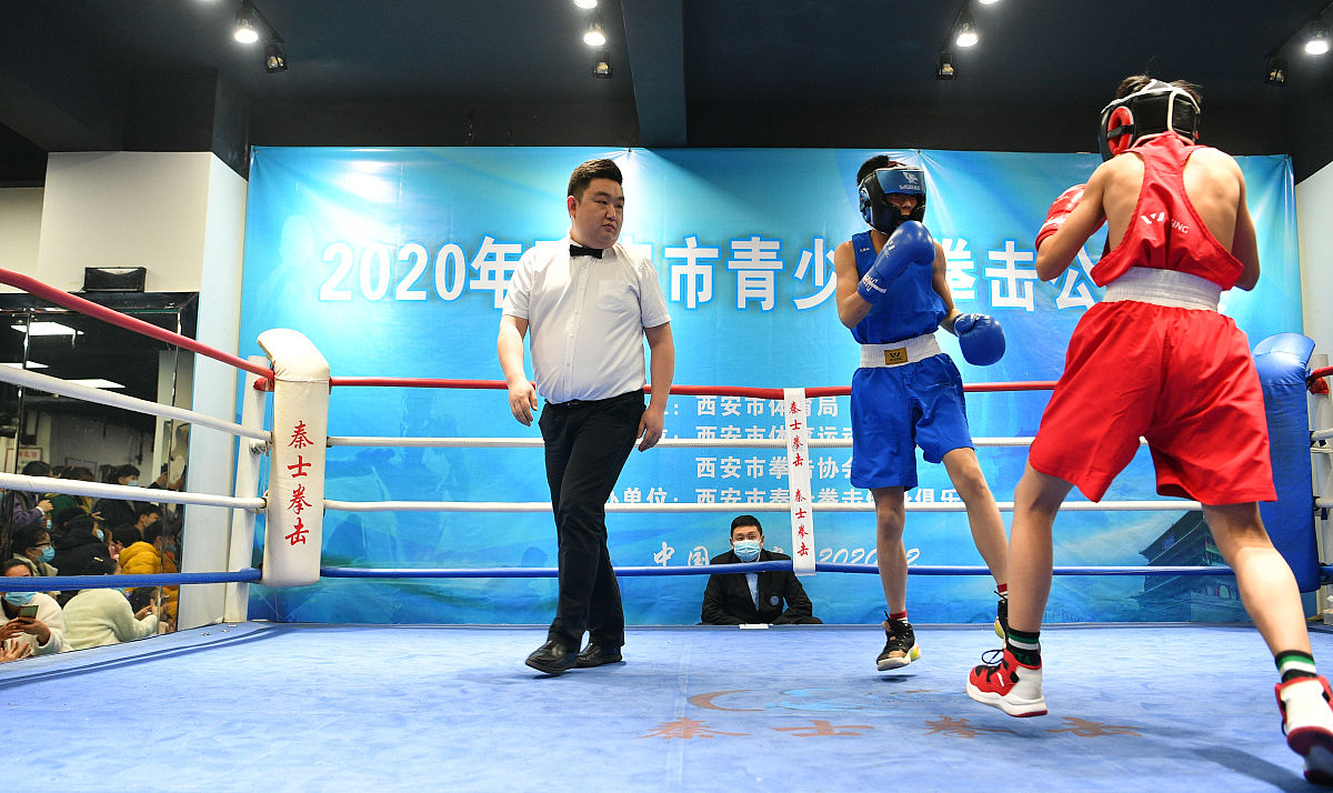 高校体育文化与击剑运动融合发展探究 - 论文框架