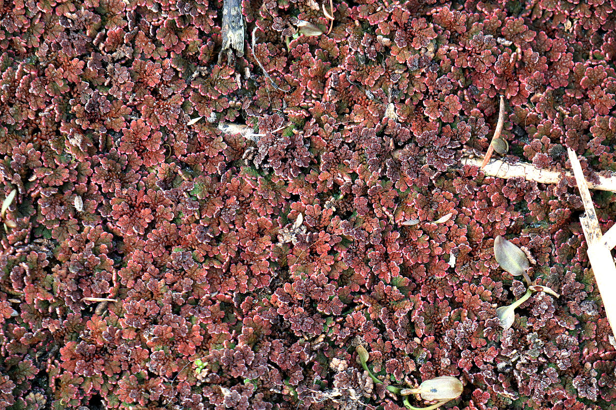 孝感建筑工程技术学校2022年招生简章