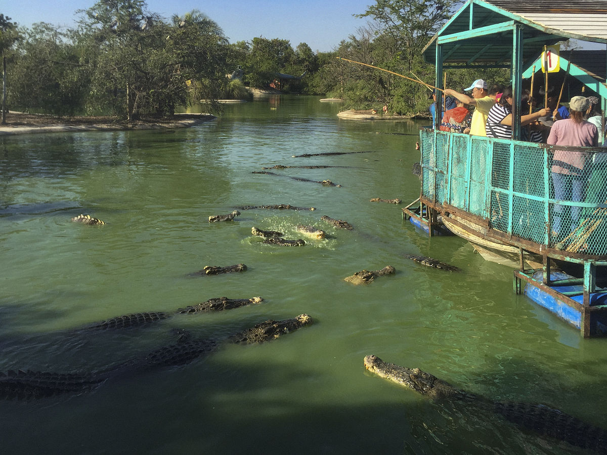 向南方城市学习什么：800字心得体会