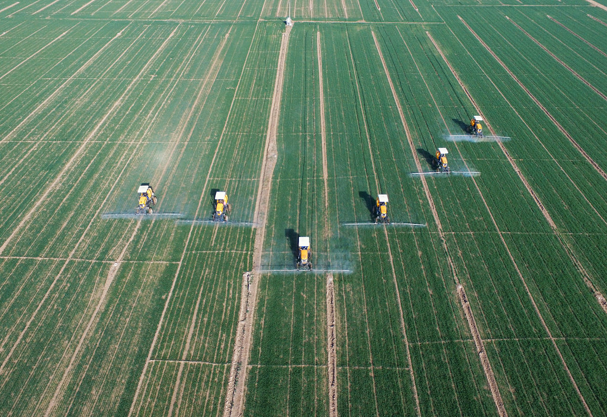 PRECISION AGRICULTURE期刊稿件类型？