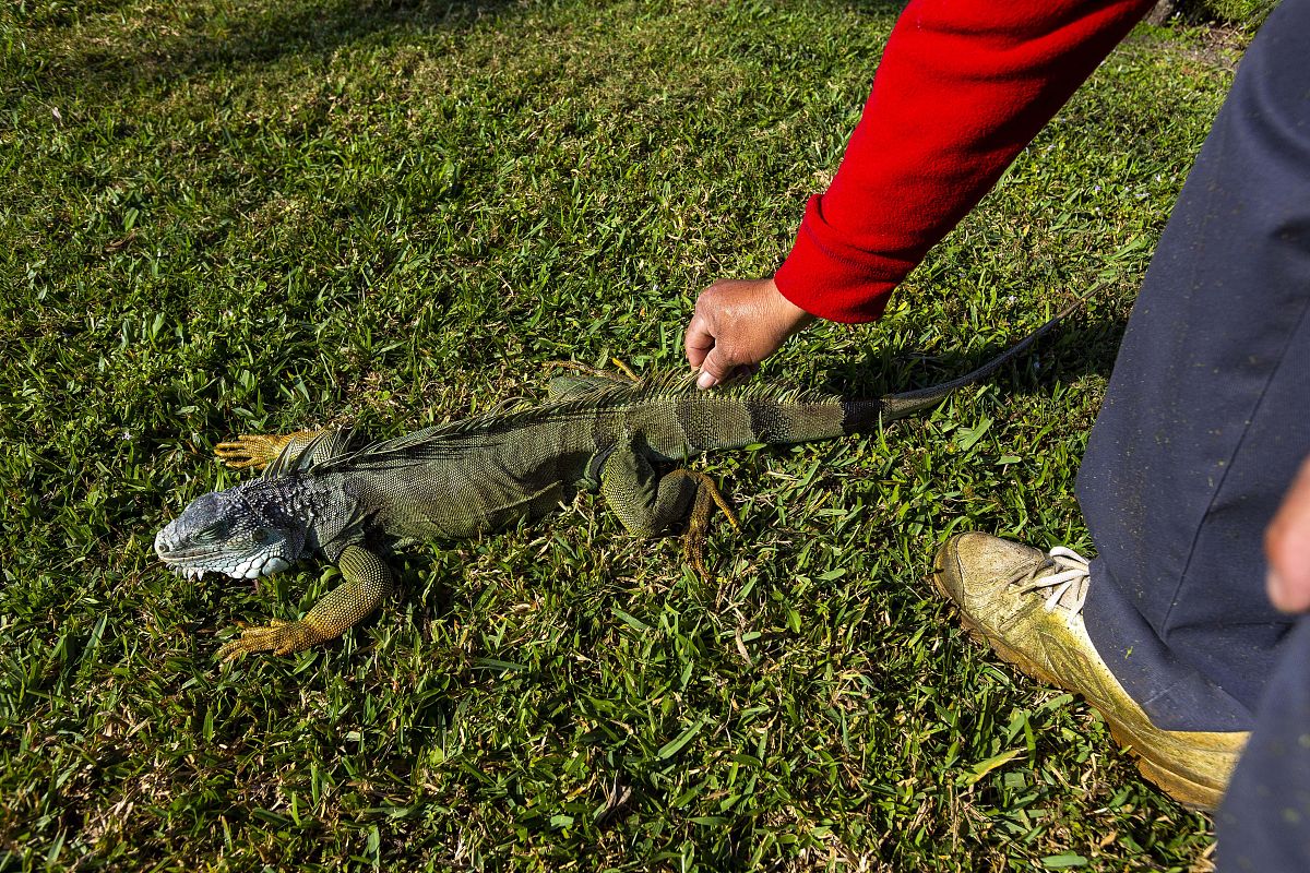 我一把把把把住了我手里有什么