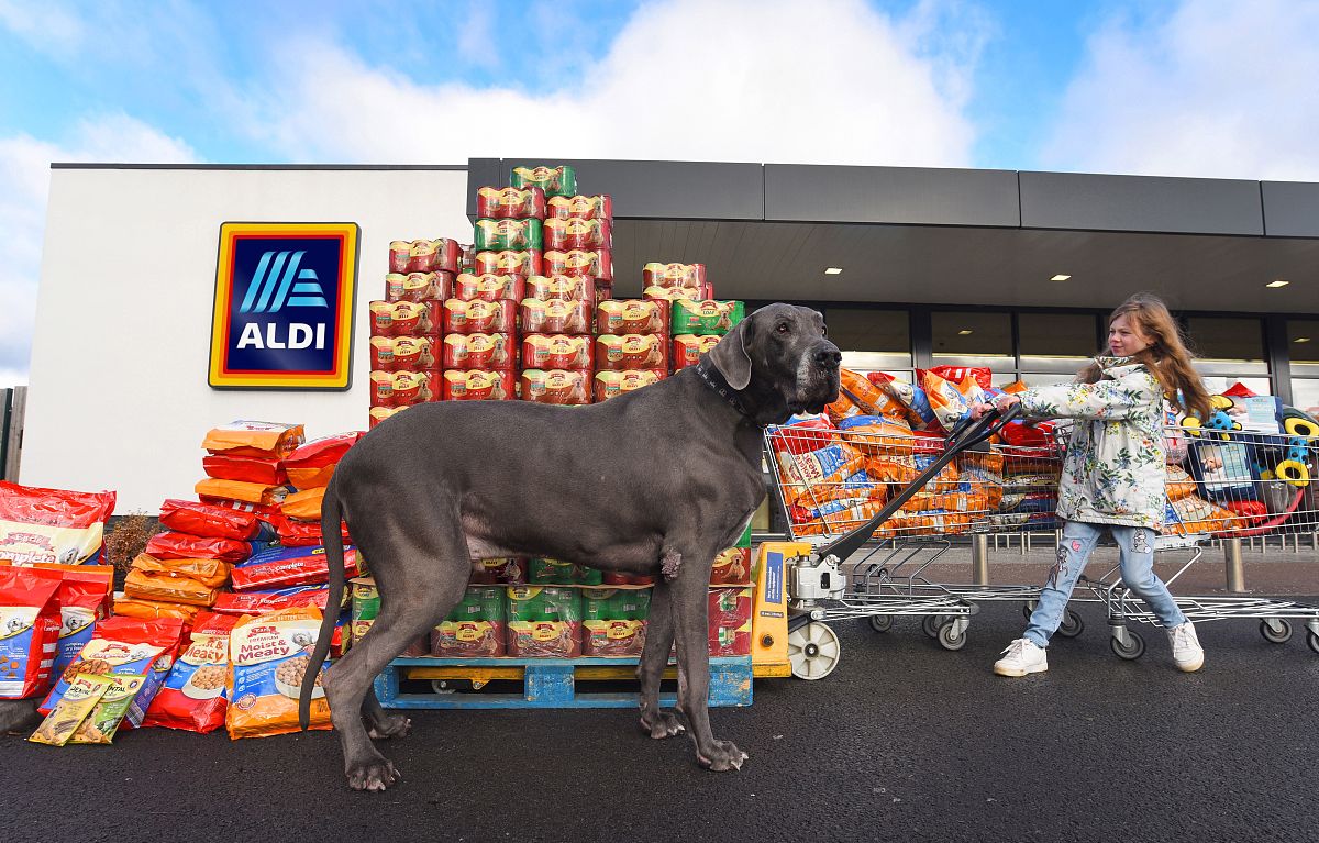 9岁半男孩身高1.38米体重28公斤正常吗？- WHO儿童生长标准解读