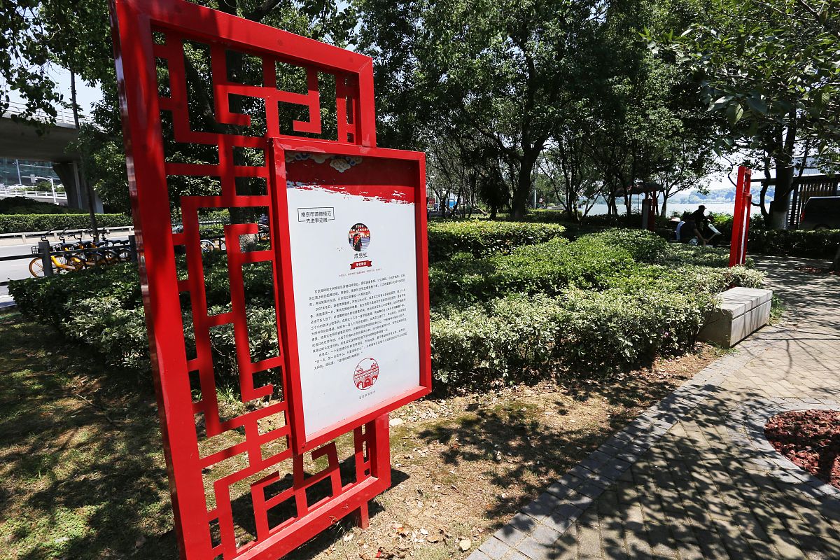 如何写主要先进事迹：格式、内容和注意事项