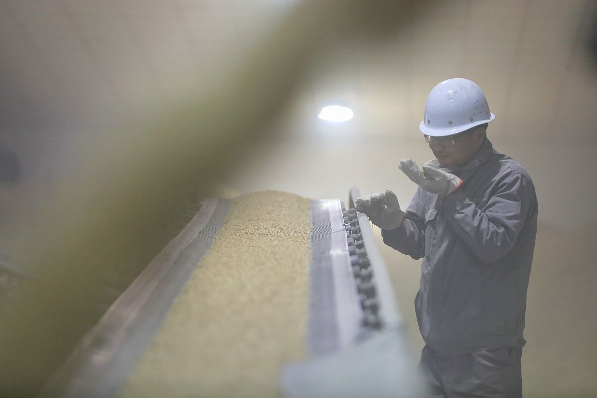 为什么粮库监测系统需要监测空气污染指数写出理由200字