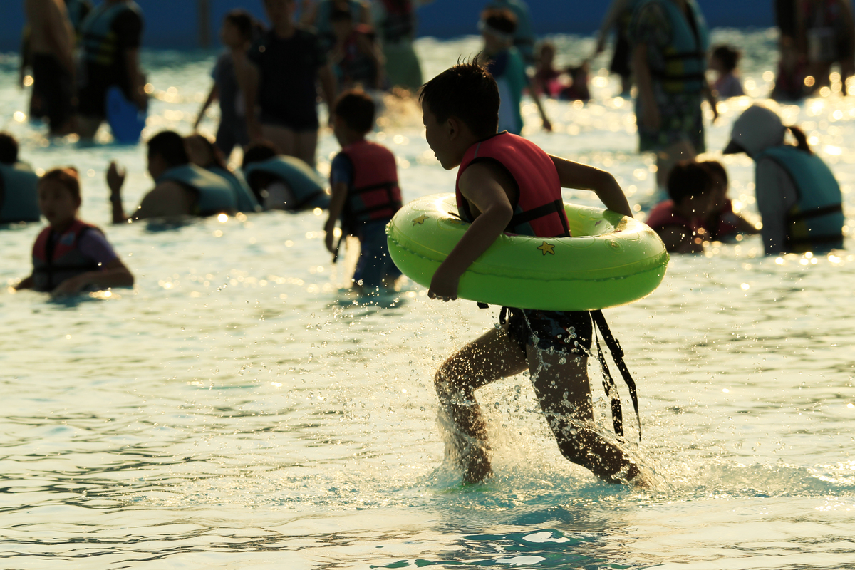 夏日记忆：阳光、欢笑和难忘的经历