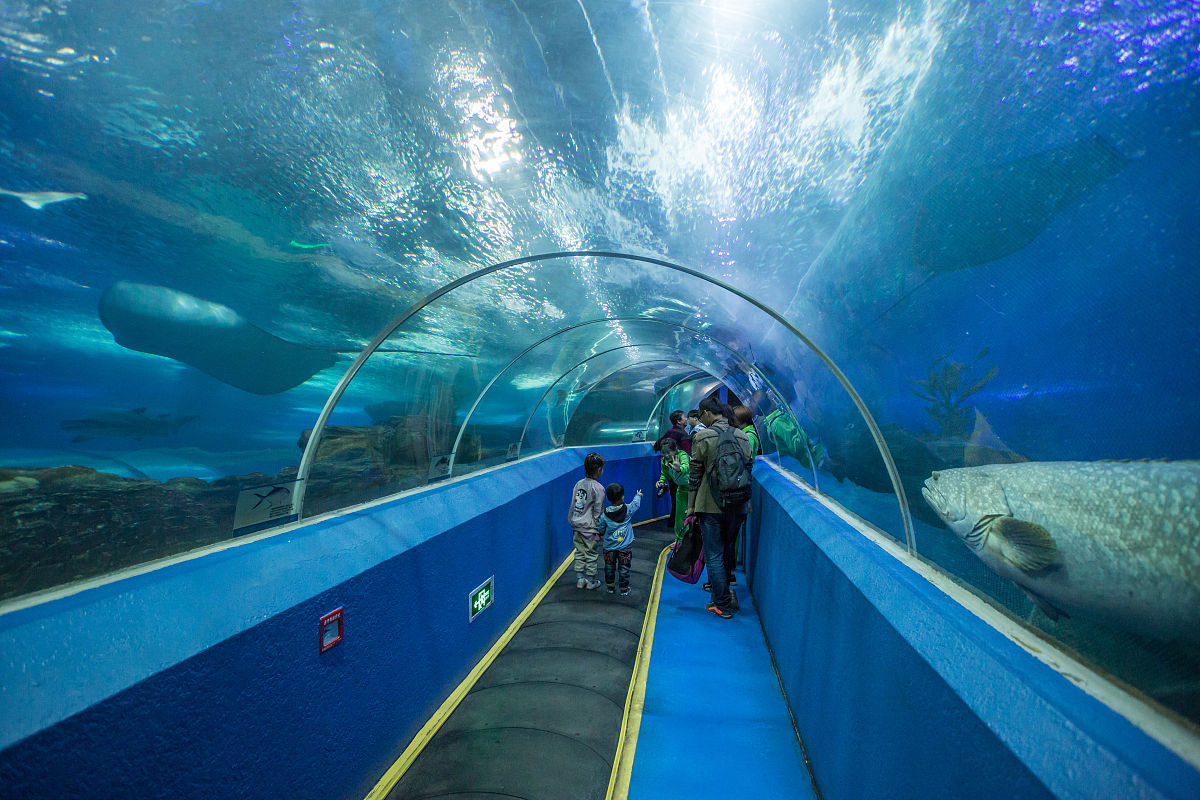 青岛有什么好玩的具体是那些怎么合理安排要在那去几天