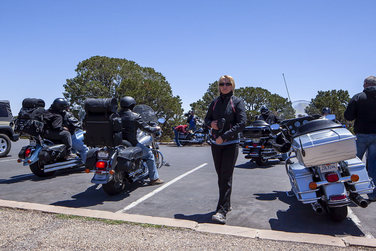 哈雷大道滑翔图片在那个搜索不侵权