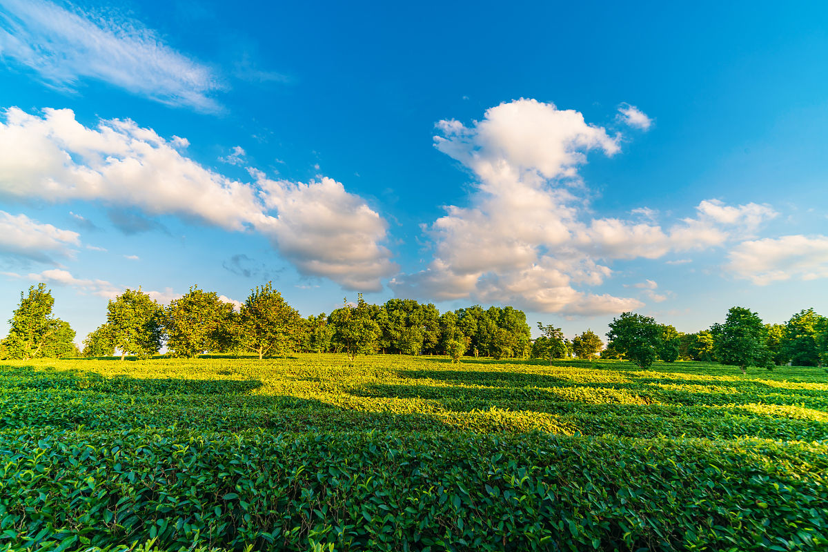 五月六月是什么季节，