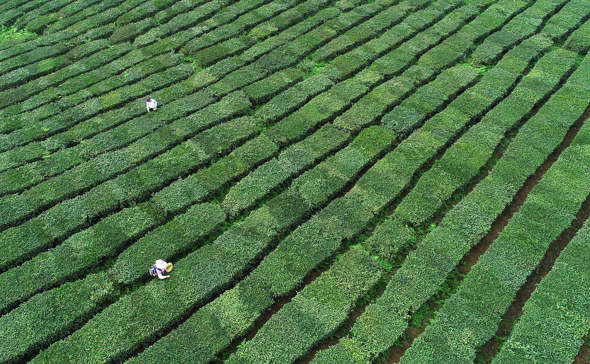 贵阳工具厂技工学校2020年招生简章 - 联系电话、报名方式、课程介绍