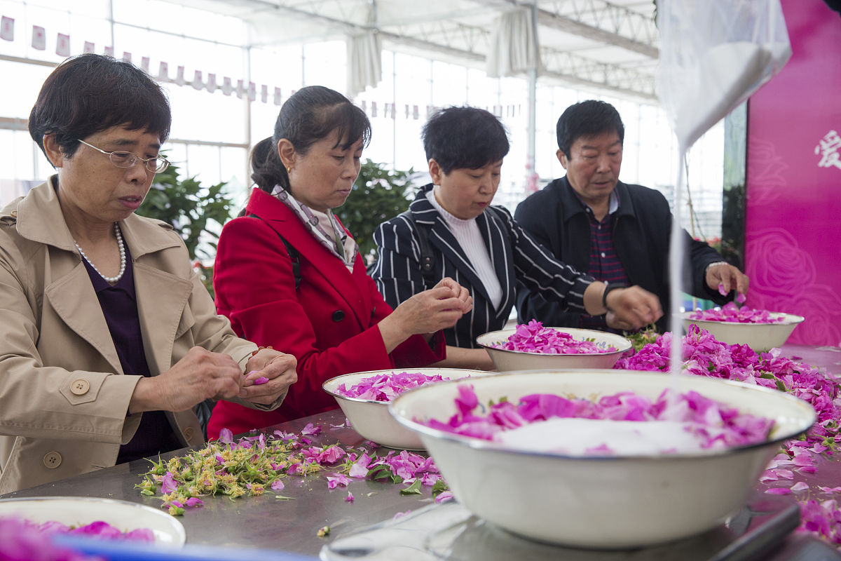 道德情感的划分形式不包括		直觉的情感体验		感觉的情感体验		道德形象引起的情感体验		道德伦理引起的情感体验