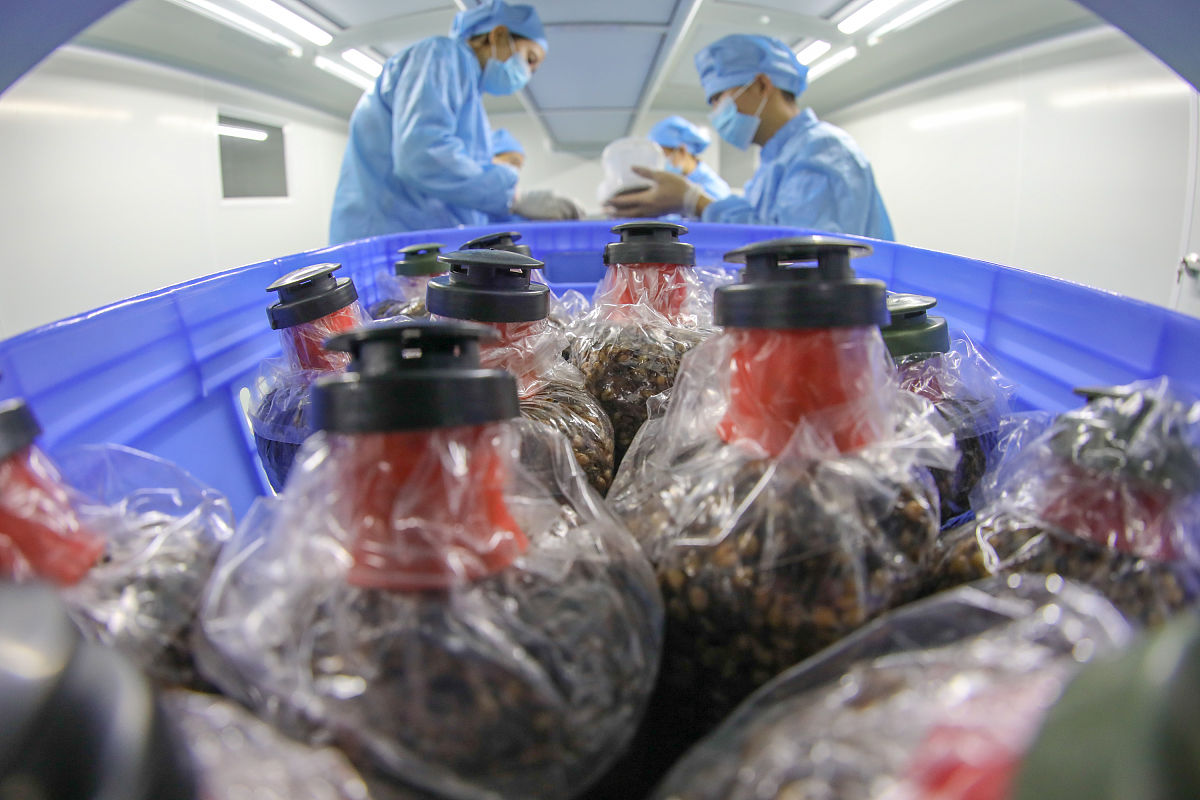 鸡舍环境检测系统研究论文：资源查找指南