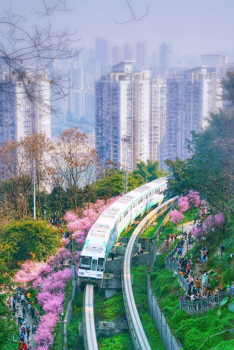 重庆轻轨未来发展趋势: 智能化、绿色化、便捷化