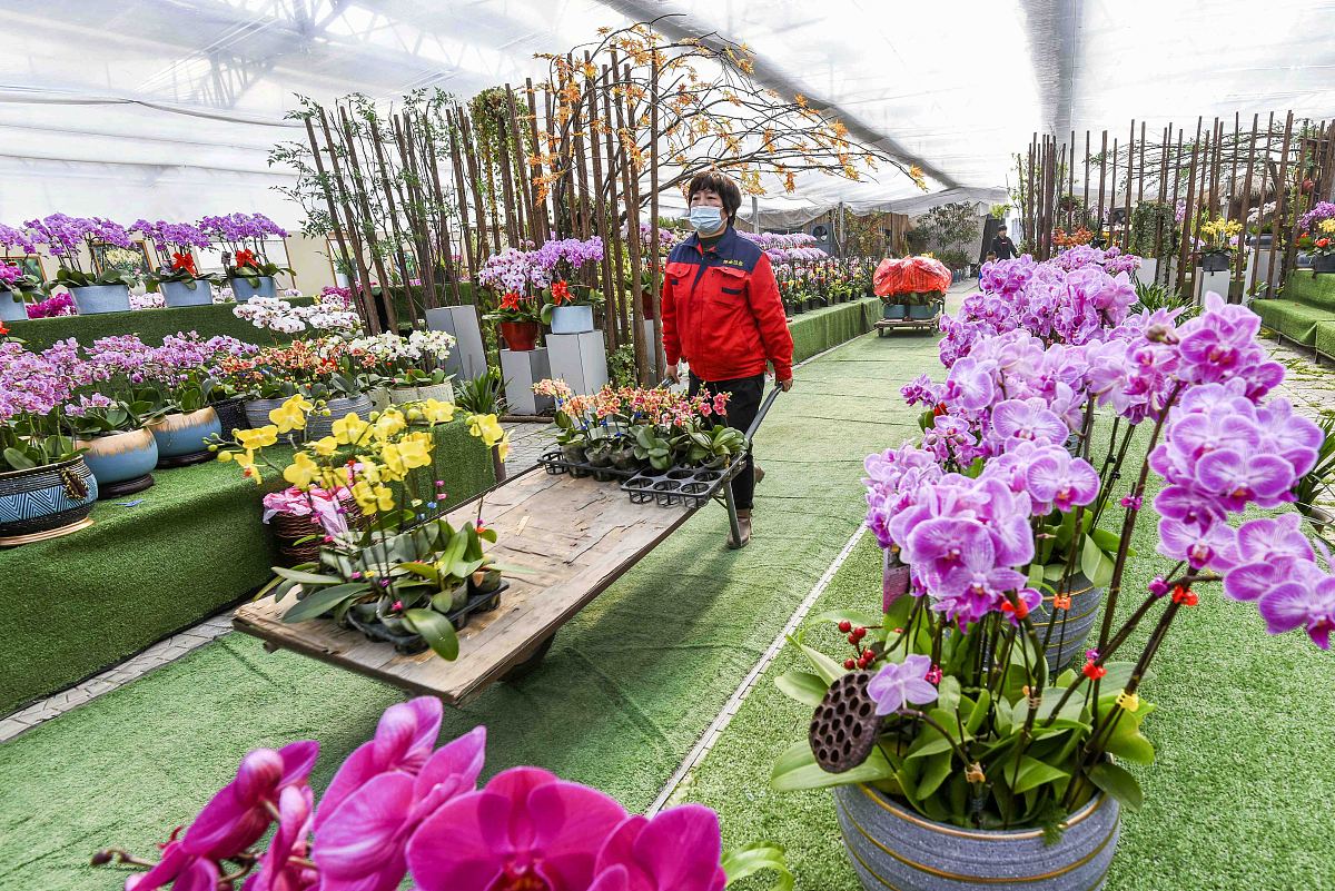 山东科技专修学院办学层次：本科、研究生、成人教育及留学生教育