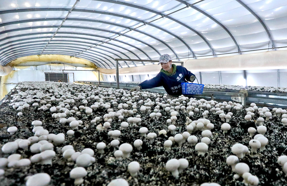 2023年甘肃中专女孩子学什么专业好