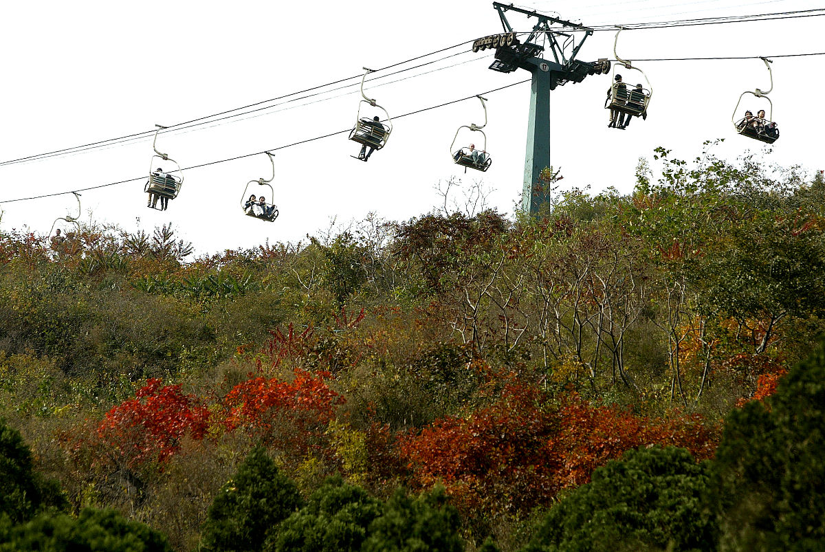 香山红叶拟人化描写：舞蹈、战士、精灵