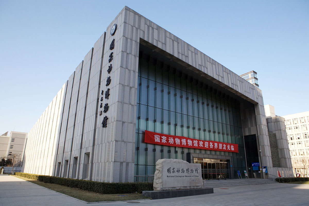 内蒙古科技大学包头师范学院美术学专业：培养艺术人才，服务社会