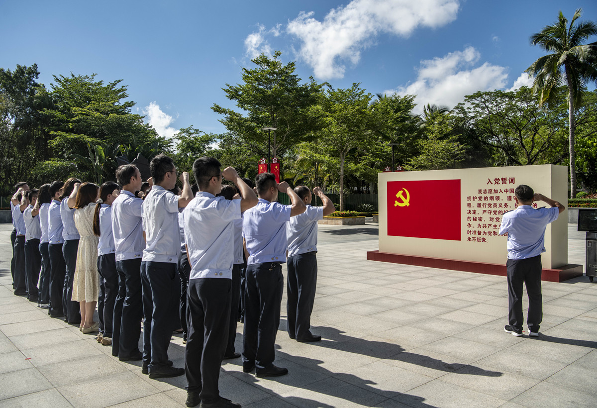 大学生党员先锋模范作用：责任、使命与实践