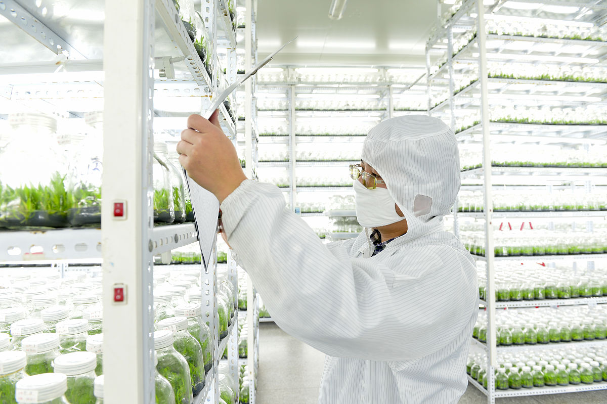 50种未来食品技术：颠覆你的味蕾和健康！