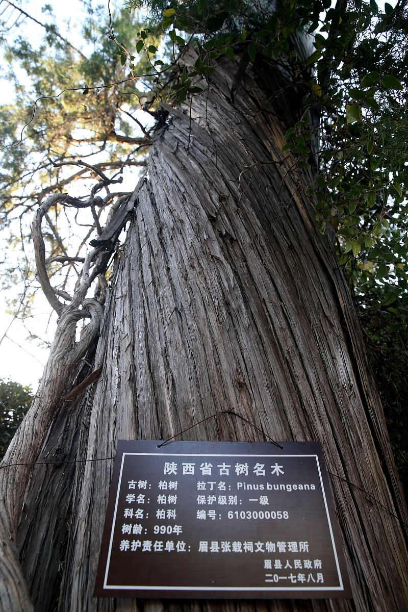 宝鸡初中毕业上中专学校好吗用