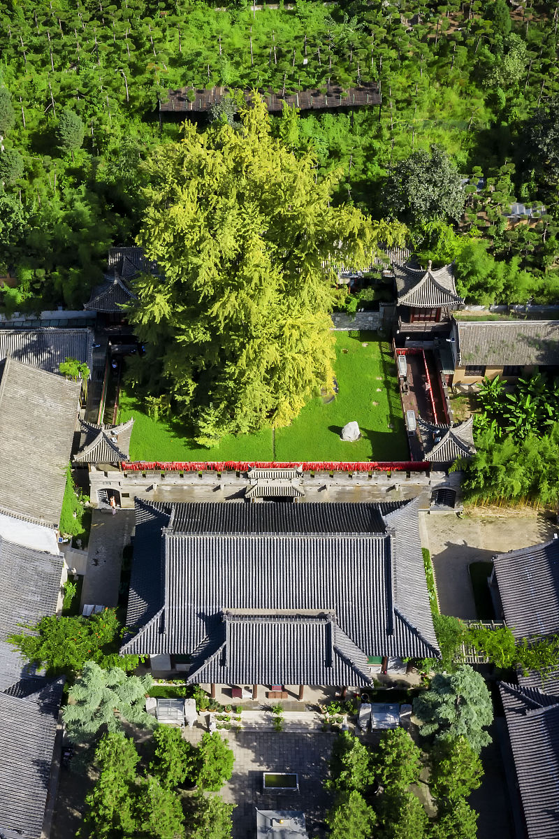 2021年8月24日,陕西省西安市,古观音禅寺.(如若下载使用,请务必署名: