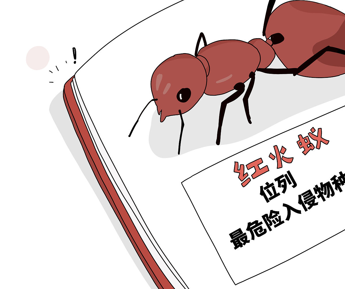 漫画:红火蚁位列最危险入侵物种