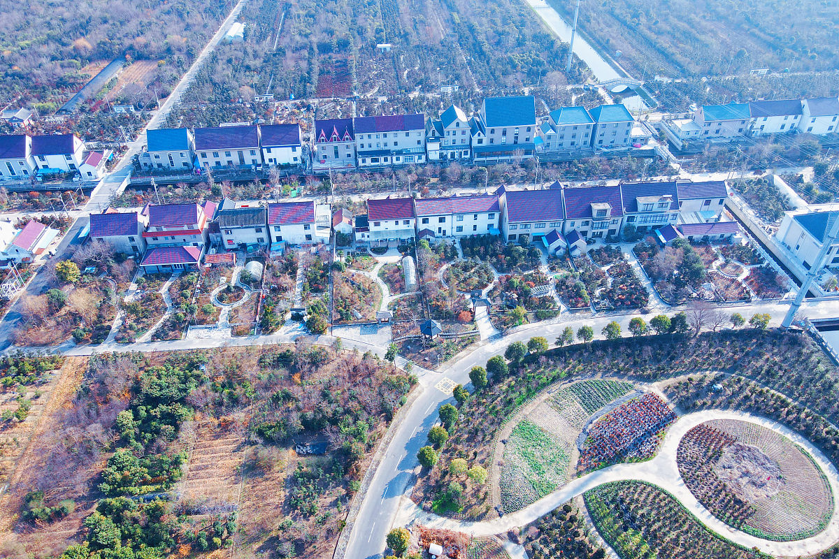 武清未来哪个村搬迁，