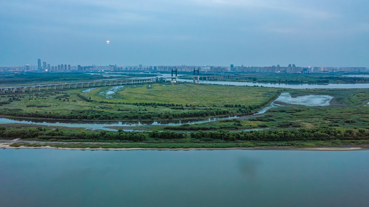 哈尔滨大剧院湿地：生态宝库，休闲胜地