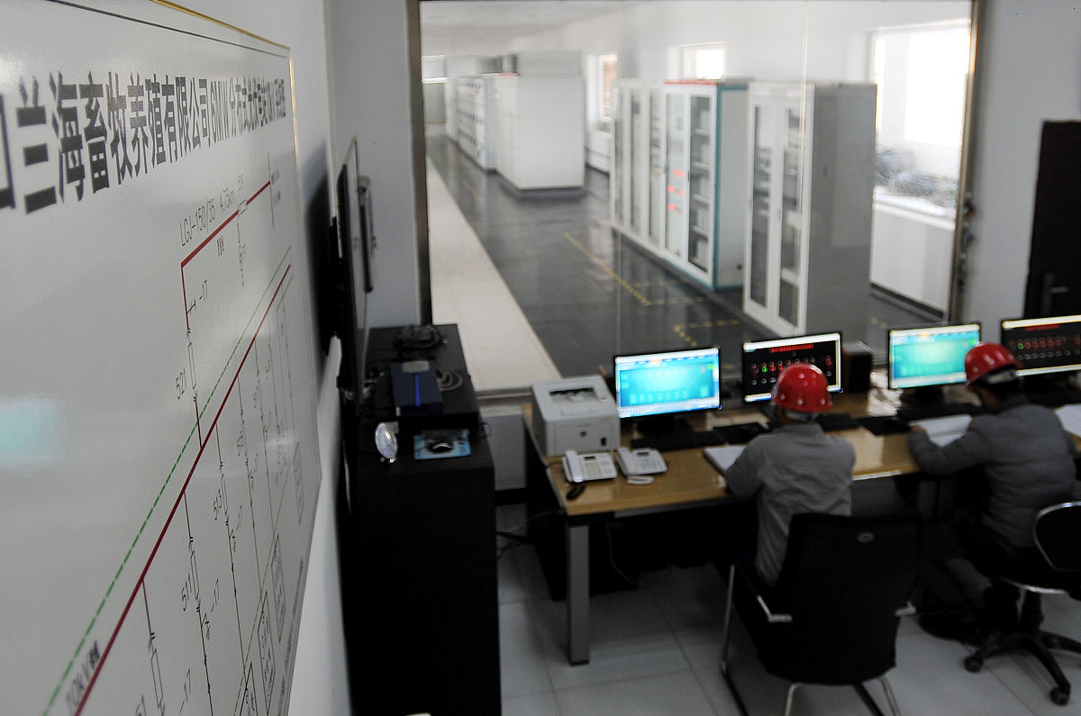 卢氏县档案整理数字化公司 - 寻找专业服务商