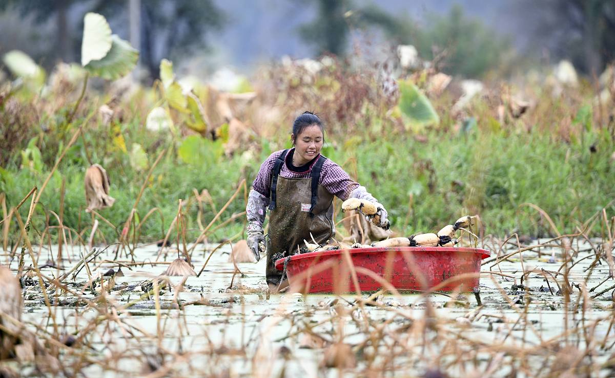 黔西南读中专学校多少钱