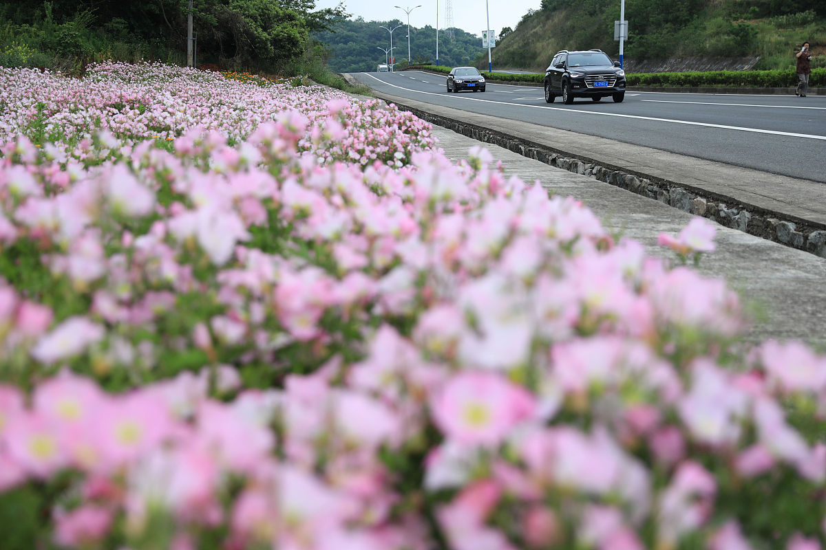 浙江公路技师学院测绘工程技术专业怎么样？毕业后能做什么工作？