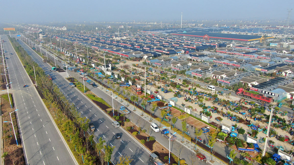 2020年3月12日,当日是一年一度的植树节,在江苏如皋花木大世界新开辟