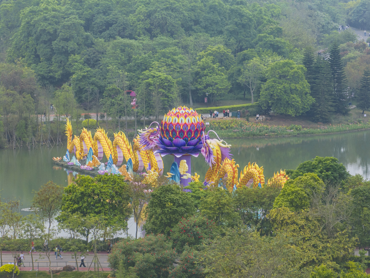 广东河源镜花缘:穿越千年的梦幻之旅