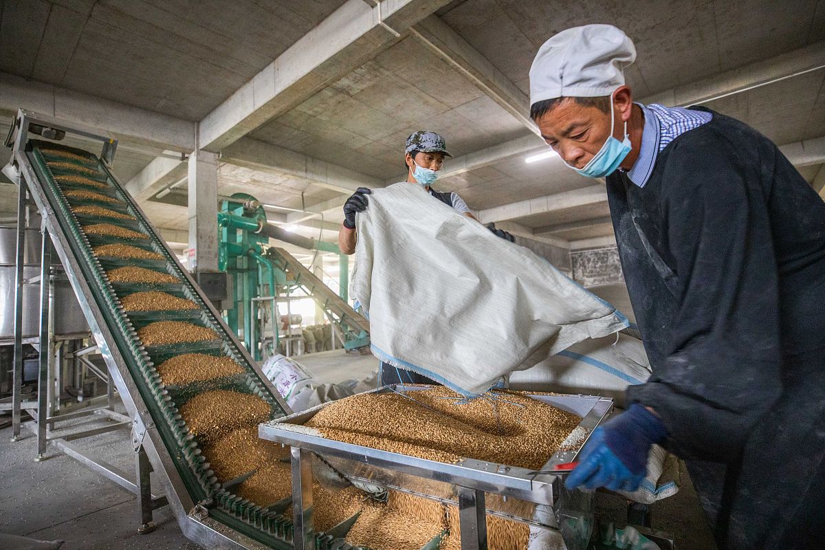 帮我写一份新闻稿主要内容为黔东南民族职业技术学院对金果兴农——枇杷次果加工设备行业领军者公司名：贵州阡陌食品机械科技有限公司要求：主要体现项目带动枇杷的产业转型助力乡村振兴体现公司的成长字数在三百字以内