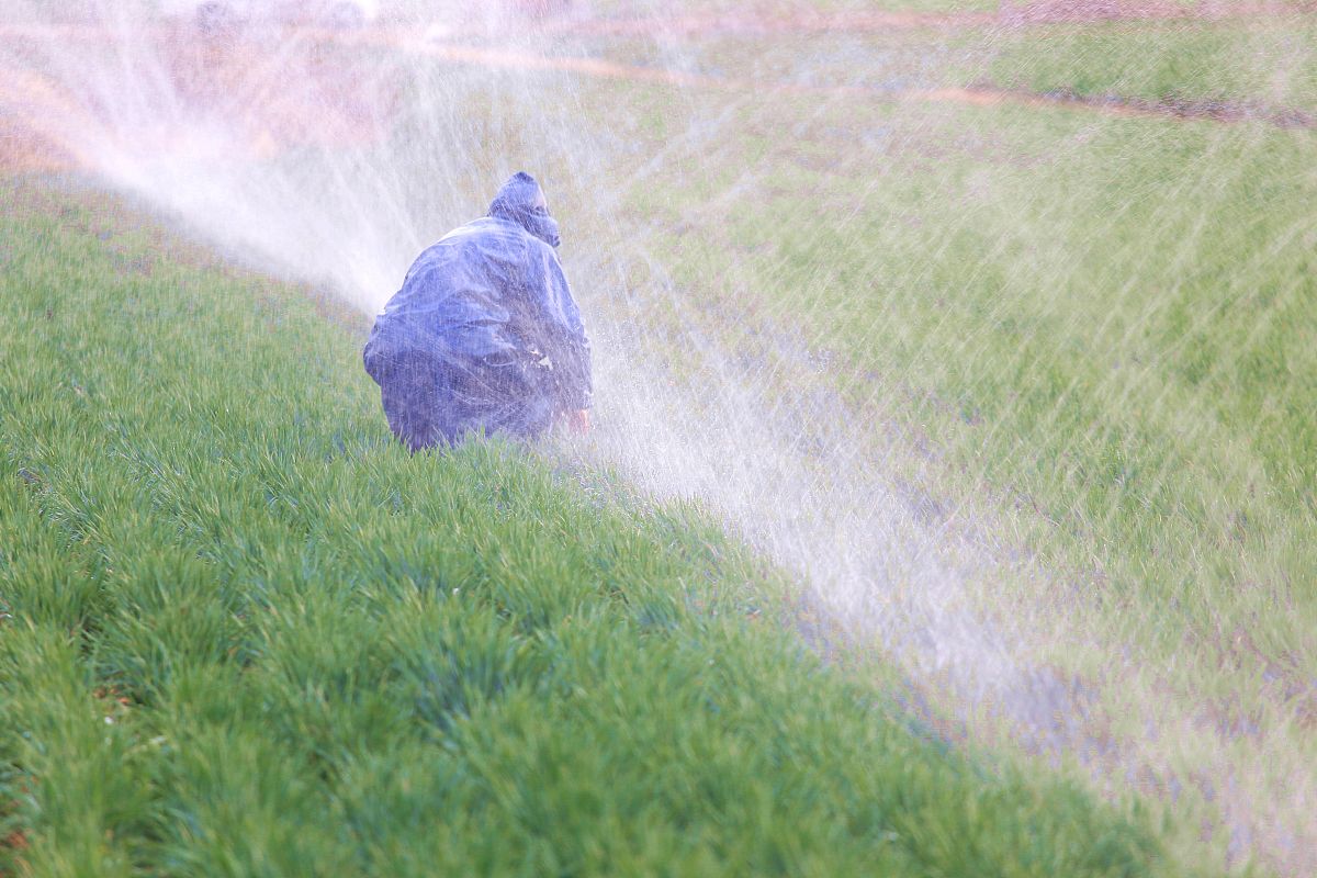 大连铁路卫生学校2022年招生人数是多少怎么样