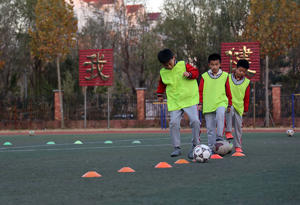 研究生年级干部报名表中学生经历社团经历填写