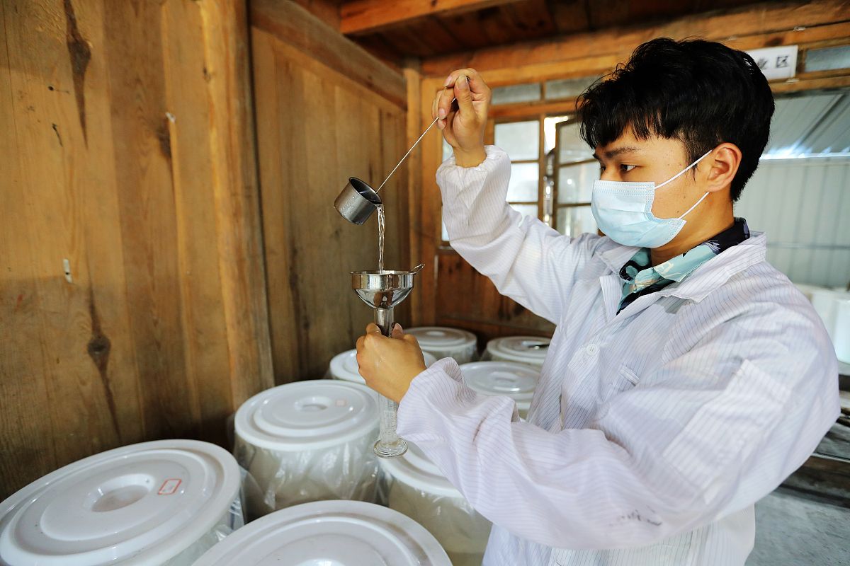 苦艾酒致幻风险：饮用多少会产生幻觉？