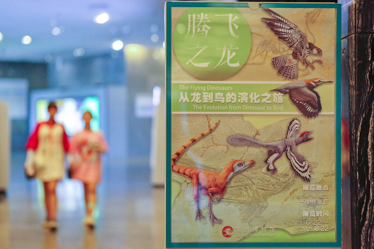 2021年6月22日,观众在江苏常州博物馆参观"腾飞之龙——从龙到鸟的演