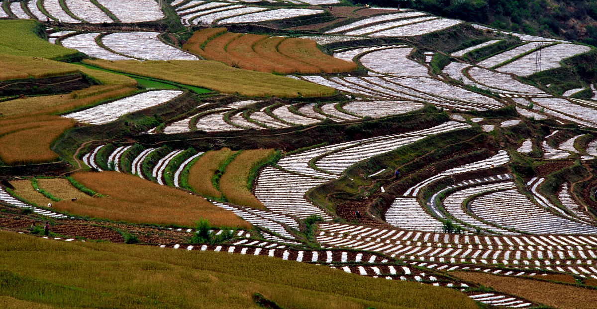 云南香格里拉县初中生学高铁：时长、意义与发展