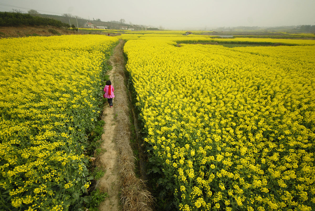 秦安县古城农业中学2021年招生专业都有哪些