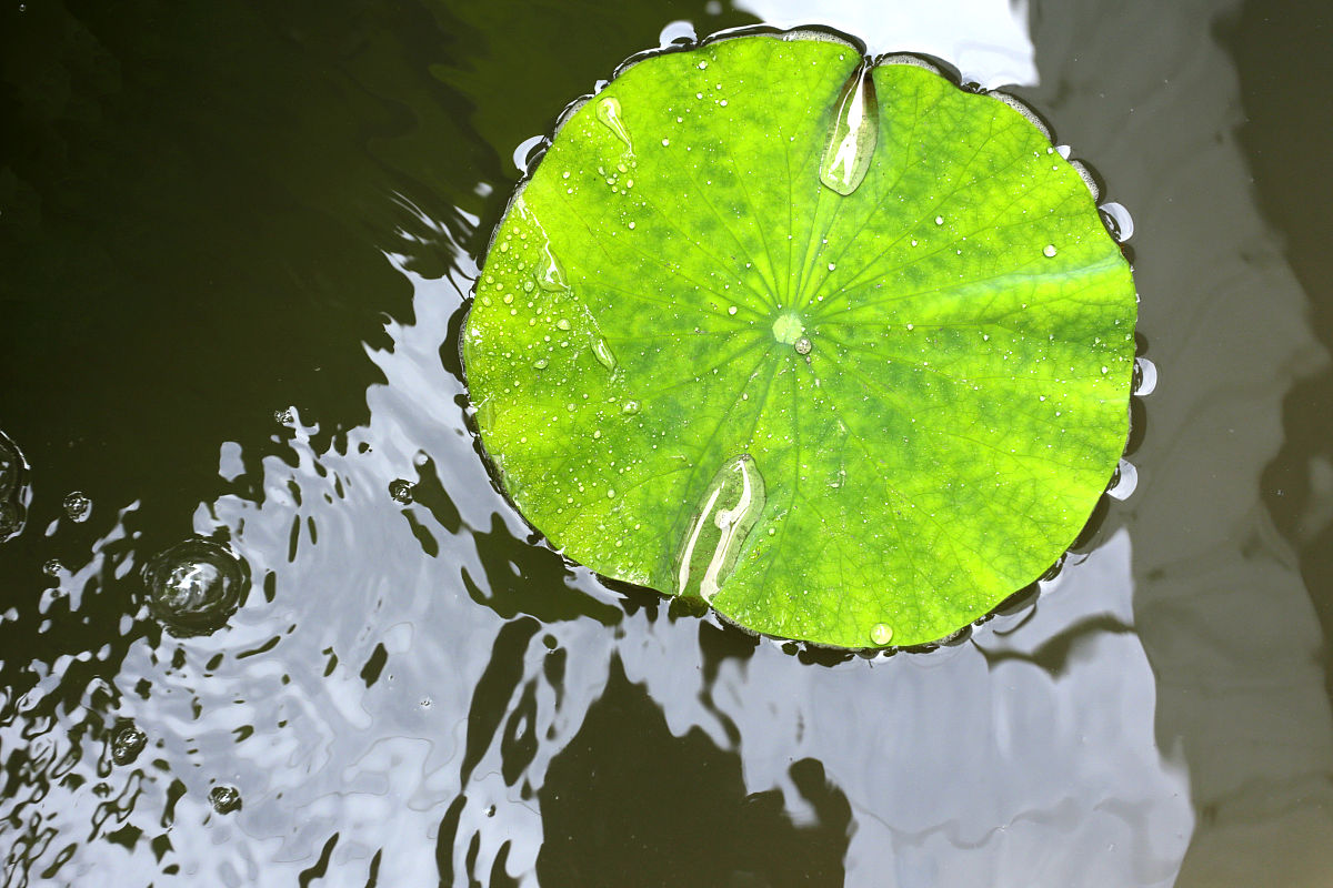 河南机电高等专科学校印刷设备及工艺专业就业前景分析
