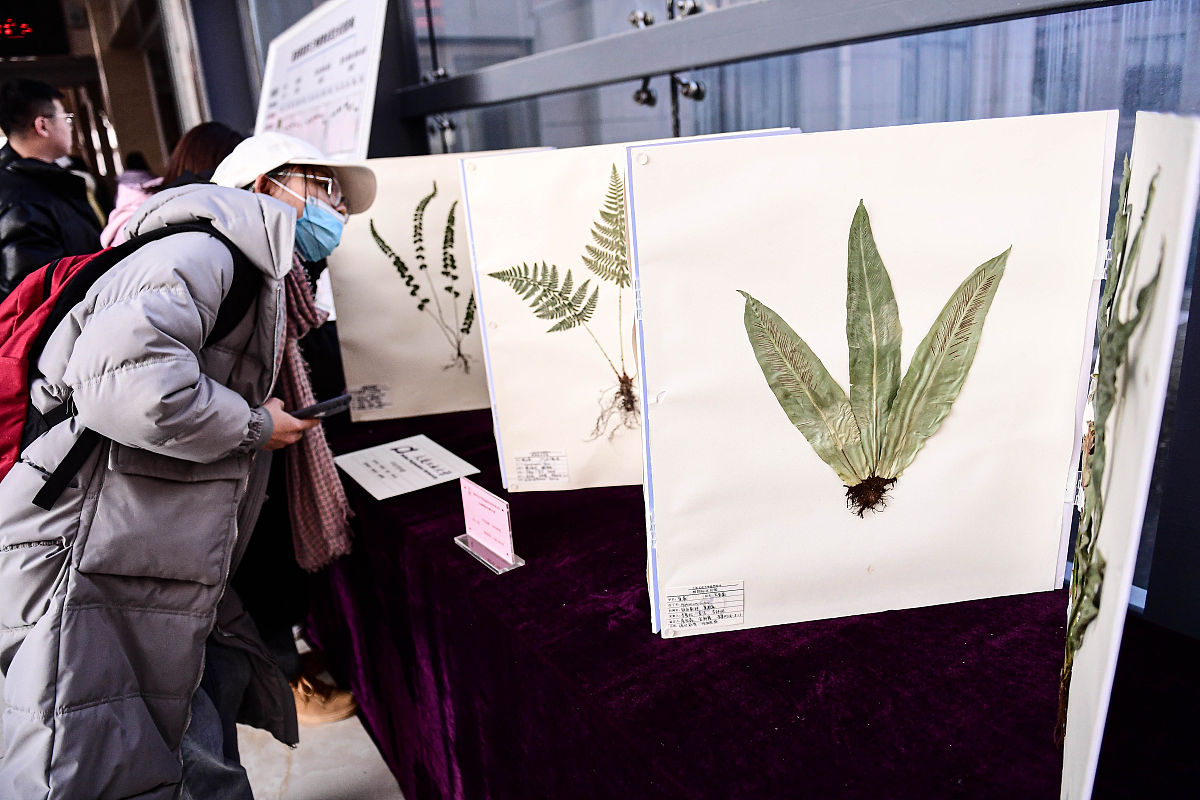 2019年荣县金科职业技术学校招生专业 - 培养高素质人才的理想选择