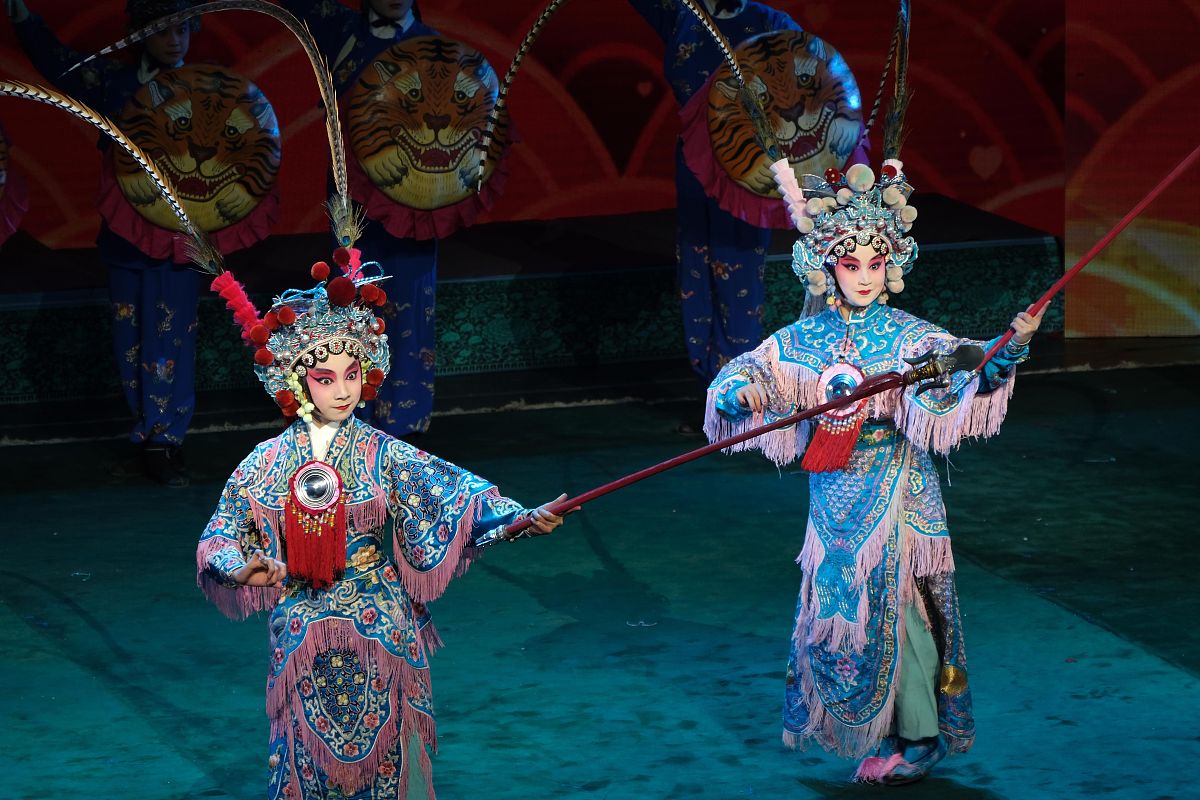 沈阳师范大学附属艺术学校戏曲表演专业介绍