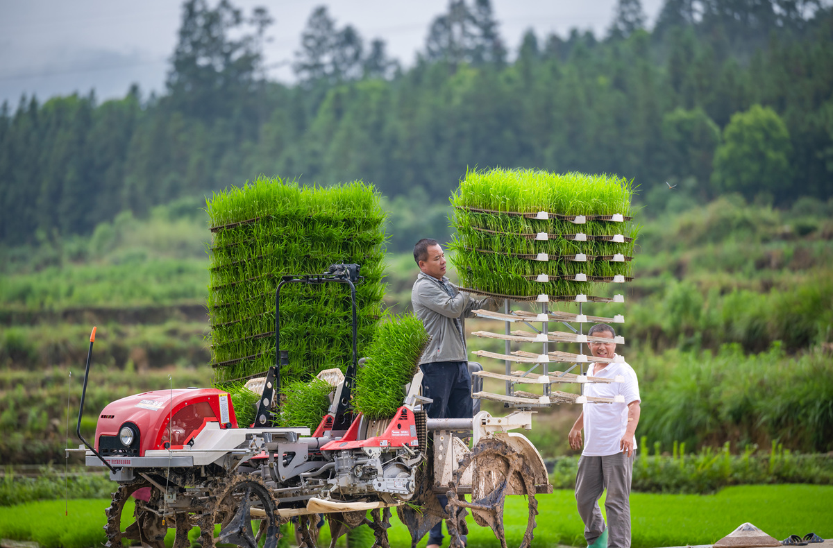 以乡村振兴为主题 拟定10个标题